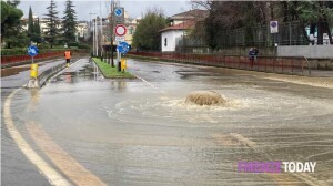 Il sottopasso di Via Mariti, 28 gennaio 2025, 2 (Firenze Today)