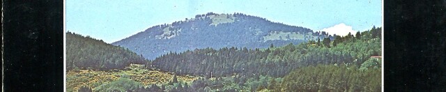 Il Parco territoriale di Monte Morello, Analisi delle risorse e metodologia di intervento, 1979